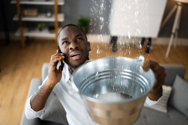 Best Professional water damage repair  in Trenton, MI